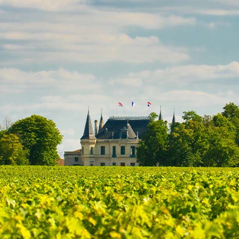 Bordeaux